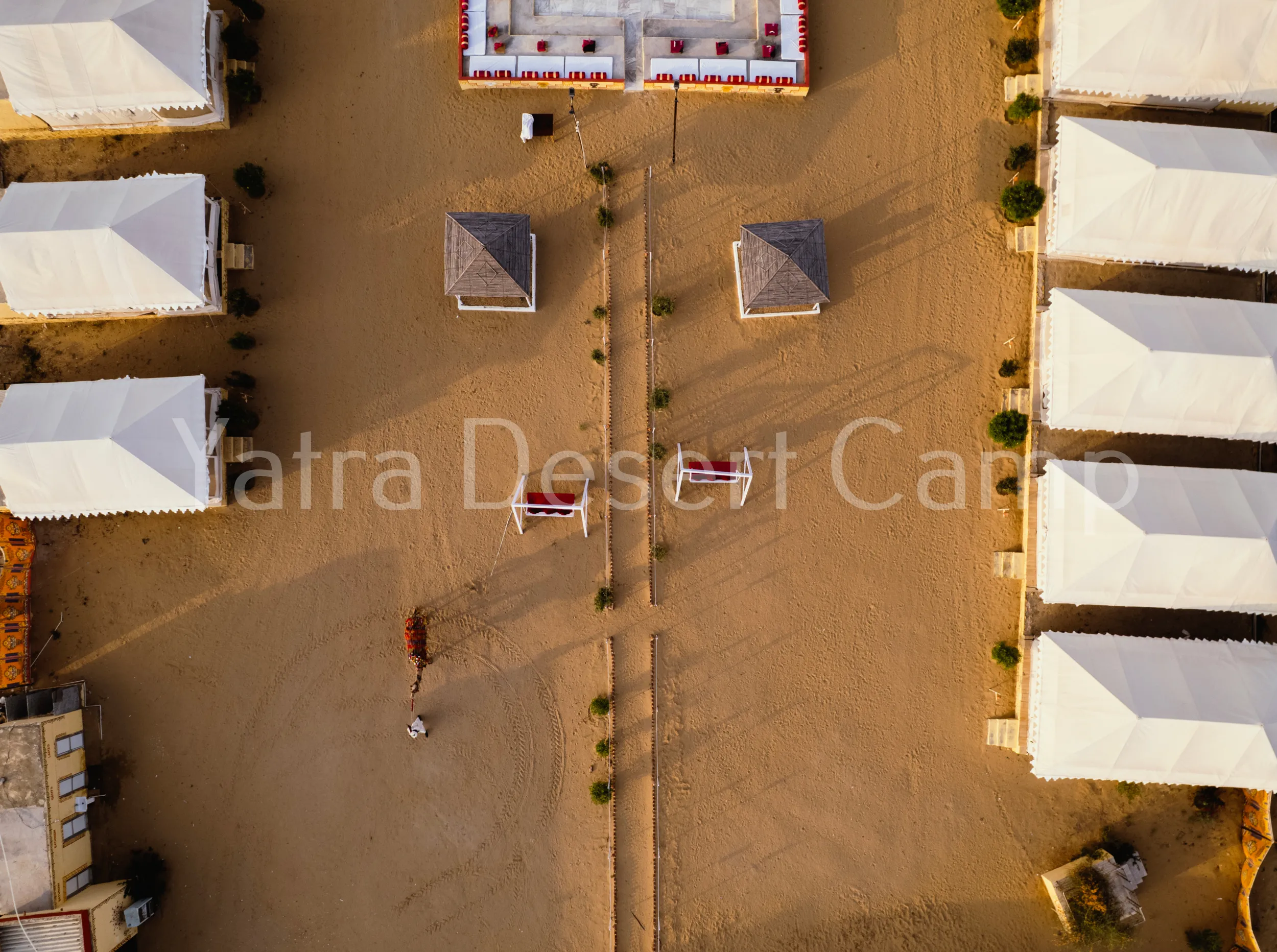 Desert Arrival